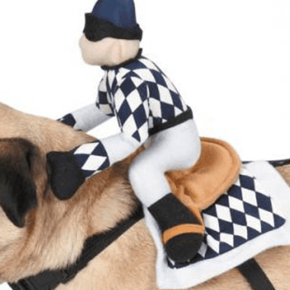 πΆ Pawful Champion Jockey Saddle Dog Costume π - Picture 2 of 2